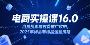 淘宝电商运营课16.0，自然搜索与付费推广攻略，2025年标品非标品运营策略-精品虚拟资源库