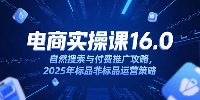 淘宝电商运营课16.0，自然搜索与付费推广攻略，2025年标品非标品运营策略-精品虚拟资源库
