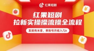 红果短剧拉新实操全流程，发就有米拿，单账号月收入几k-精品虚拟资源库