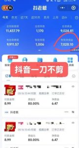 抖音短视频一刀不剪带货，不剪辑，不直播，每天发个视频，等着出单获取带货佣金-精品虚拟资源库