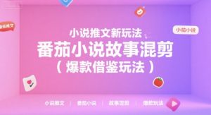 小说推文新玩法，番茄小说故事混剪(爆款借鉴玩法)-精品虚拟资源库