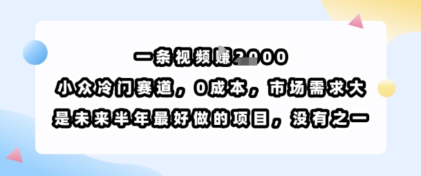 一条视频挣1k，小众冷门赛道，0成本，市场需求大，是未来半年最好做的项目，没有之一-精品虚拟资源库