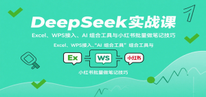 DeepSeek实战课：Excel、WPS接入、AI 组合工具与小红书批量做笔记技巧-精品虚拟资源库