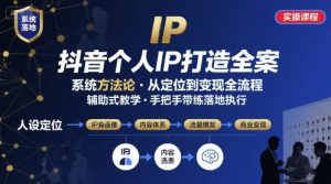 抖音个人IP系统落地实操大课，实操课程，辅助落地-精品虚拟资源库