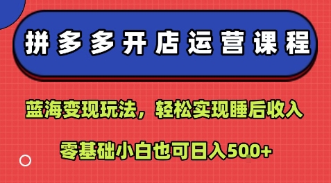 拼多多开店运营课程：蓝海变现玩法，轻松实现睡后收入，零基础小白也可日入5张-精品虚拟资源库