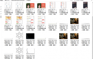 『高端精品』最新公主号无水印下载工具,图片 视频 音频 无脑小白一键下载-精品虚拟资源库