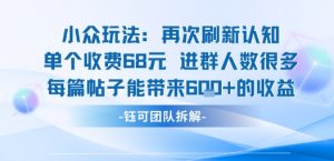 小众玩法再次刷新认知单个收费68米进群人数很多每篇帖子能带来6张的收益-精品虚拟资源库