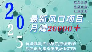 2025广告赛道新风口-月赚2W＋玩法简单，时间自由-精品虚拟资源库