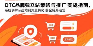 DTC品牌独立站策略与推广实战指南,系统讲解从建站到流量转化的全链路运营-精品虚拟资源库