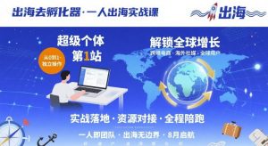 出海去孵化器，一人出海实战课，​超级个体第1站，解锁全球增长-精品虚拟资源库