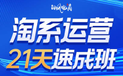白凤电商·淘系运营21天速成班(更新8月)-精品虚拟资源库