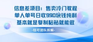 信息差项目：售卖冷门教程单人单号日收9张纯利基本就是复制粘贴就能做-精品虚拟资源库