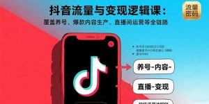 抖音流量与变现逻辑课：覆盖养号、爆款内容生产、直播间运营等全链路-精品虚拟资源库