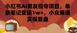 小红书AI男友指令项目,单条笔记变现1w+,小众赛道实操复盘-精品虚拟资源库
