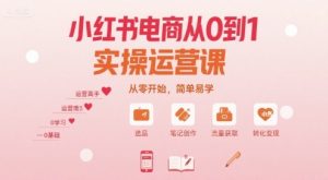 小红书电商从0到1实操运营课，从零开始，简单易学-精品虚拟资源库