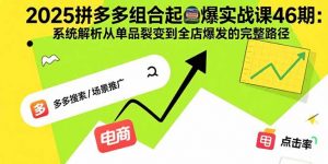 2025拼多多组合起爆实战课46期:系统解析从单品裂变到全店爆发的完整路径-精品虚拟资源库