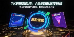 TK跨境高阶班：ADS数据深度解析，常见问题诊断与优化，数据驱动选品方法-精品虚拟资源库
