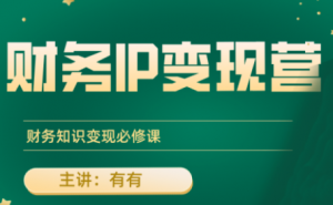 有有老师·财务IP变现营，财务知识变现必修课-精品虚拟资源库