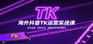 海外抖音TK运营实战课：账号搭建、精准引流、剪辑带货与私域转化-精品虚拟资源库