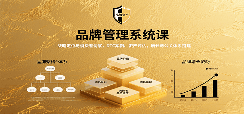 品牌管理系统课：战略定位与消费者洞察，DTC案例、资产评估，增长与公关体系搭建-精品虚拟资源库