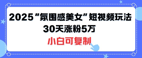 不露脸也能火！2025“氛围感美女”短视频玩法，30天涨粉5W小白可复制-精品虚拟资源库