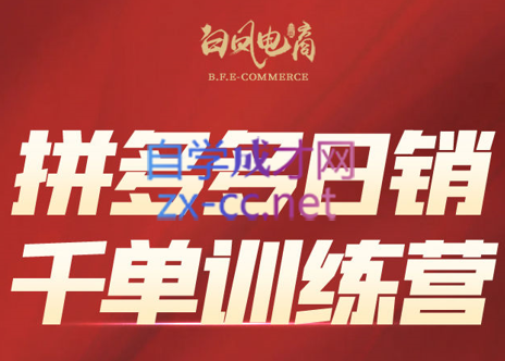 白凤电商·拼多多日销千单训练营(更新8月)-精品虚拟资源库