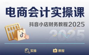 电商会计实操课-抖音小店财务教程2025-精品虚拟资源库