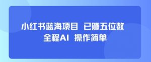 小红书蓝海项目，全程AI，操作简单，已挣五位数-精品虚拟资源库