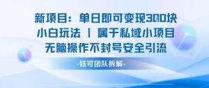 新项目单日即可变现3张的小白玩法无脑操作不封号安全引流-精品虚拟资源库