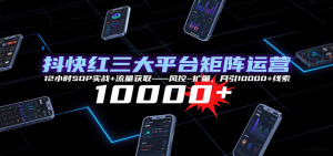 抖快红三大平台矩阵运营，12小时SOP实战+流量获取-风控-扩量，月引10000+线索-精品虚拟资源库