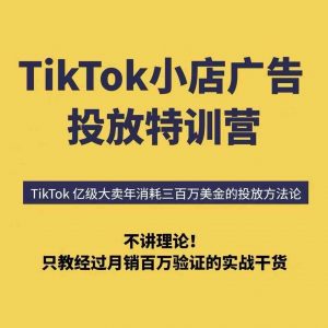 TikTok小店广告投放特训营，6天破局计划专治各种“投不动”，教你经过月销百万验证的实战干货-精品虚拟资源库