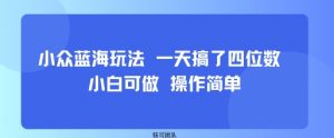 小众蓝海玩法 一天搞了四位数 小白可做 操作简单-精品虚拟资源库