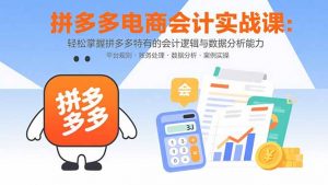 拼多多电商会计实战课:轻松掌握拼多多特有的会计逻辑与数据分析能力-精品虚拟资源库