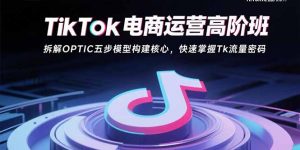 TikTok电商运营高阶班：拆解OPTIC五步模型构建核心，快速掌握Tk流量密码-精品虚拟资源库