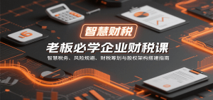 老板必学企业财税课：智慧税务、风险规避、财税筹划与股权架构搭建指南-精品虚拟资源库