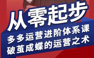 拼多多运营进阶系统课,从零起步,多多运营进阶体系课,破茧成蝶的运营之术-精品虚拟资源库
