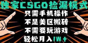 CSGO自动捡漏项目,最新独家玩法,不是美区搬砖,不需要了解和玩游戏,新手小白轻松月入1W+【揭秘】-精品虚拟资源库