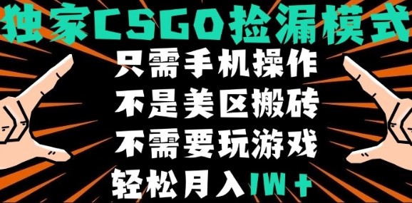 CSGO自动捡漏项目，最新独家玩法，不是美区搬砖，不需要了解和玩游戏，新手小白轻松月入1W+【揭秘】-精品虚拟资源库