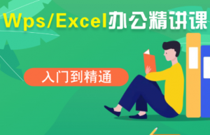夏老师·WPS Excel办公(精讲课)-精品虚拟资源库