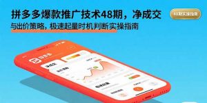 拼多多爆款推广技术48期,净成交与出价策略,极速起量时机判断实操指南-精品虚拟资源库