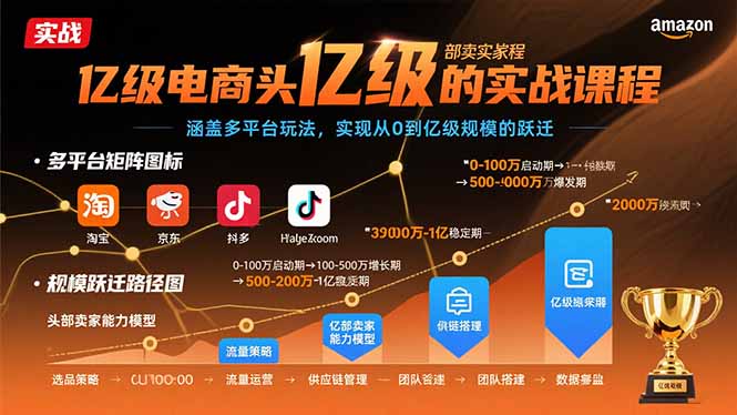 亿级电商头部卖家的实战课程：涵盖多平台玩法，实现从0到亿级规模的跃迁-精品虚拟资源库