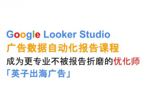 英子出海广告·Google Looker Studio从新手到高手-精品虚拟资源库