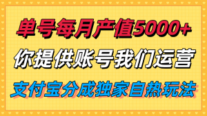 单月产值5000+，支付宝分成代运营，你提供账号坐等分钱，我们帮你运营-精品虚拟资源库