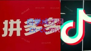 老陶电商·拼多多+抖音小店无货源开店(更新8月)-精品虚拟资源库