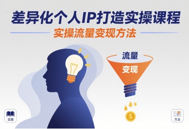 差异化个人IP打造实操课程，实操流量变现方法-精品虚拟资源库
