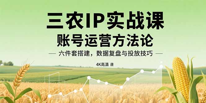 三农IP实战课：账号运营方法论，六件套搭建，数据复盘与投放技巧-精品虚拟资源库