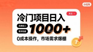 在小红书上发现个冷门路子，需求不小，零成本操作，每天能有1k进账-精品虚拟资源库