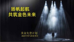 美金对冲创业项目，日收益1000-3000，小众暴力项目稳定运行8年-精品虚拟资源库