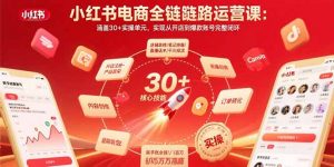 小红书电商全链路运营课：涵盖30+实操单元，实现从开店到爆款账号完整闭环-精品虚拟资源库