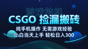 8月最新游戏搬砖，CSGO纯挂机，不需要玩游戏，实现真挂机，月入1W+-精品虚拟资源库